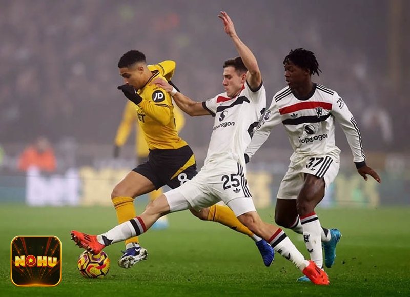 Thể thao NoHu - Bước 5: Ghi chép để tối ưu dần theo thời gian